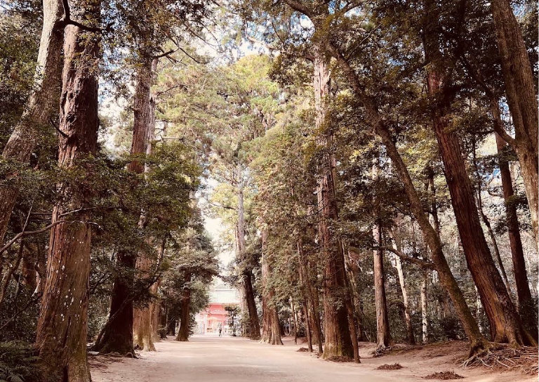 鹿島神宮 奥参道入口
